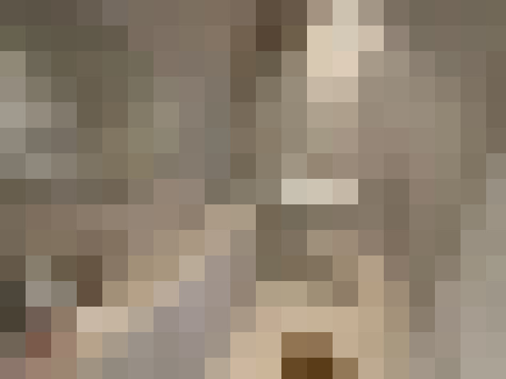 Image 45