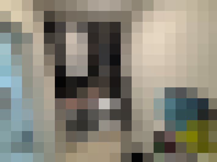Image 53