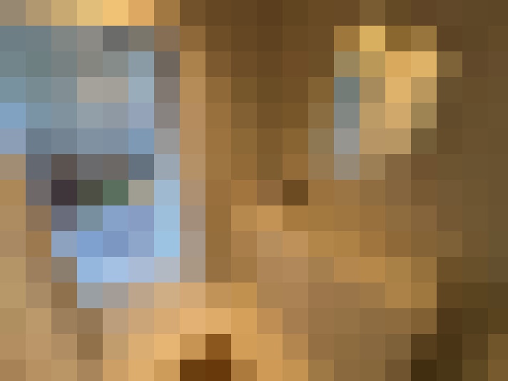 Image 47
