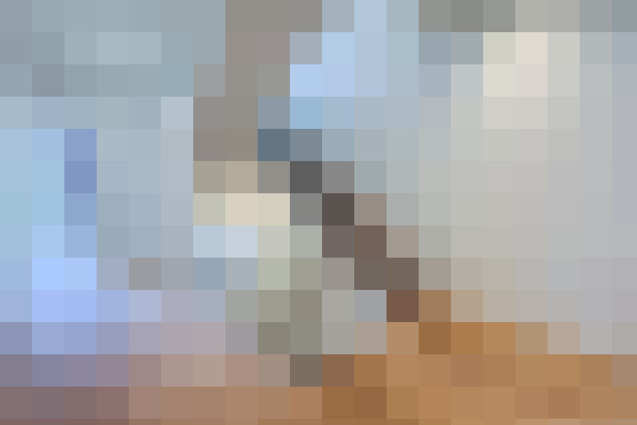 Image 13