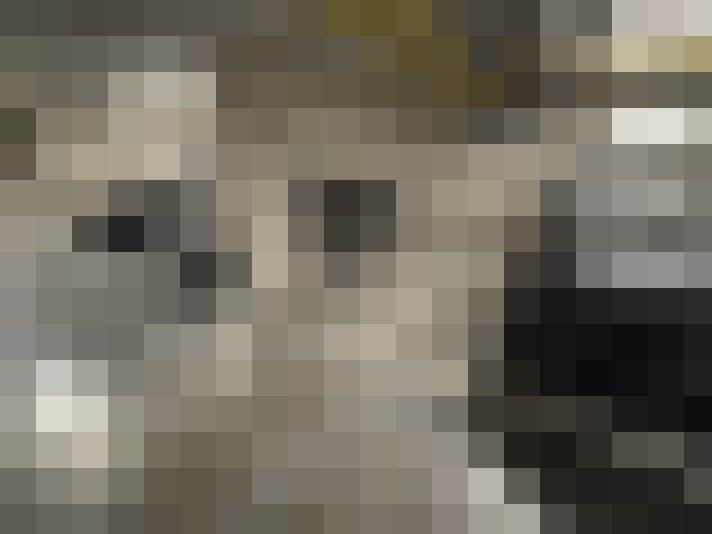 Image 17