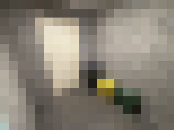 Image 19