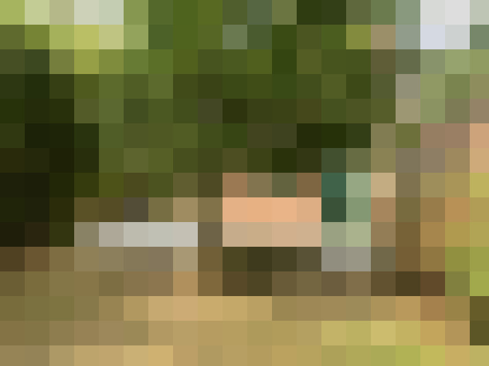 Image 29