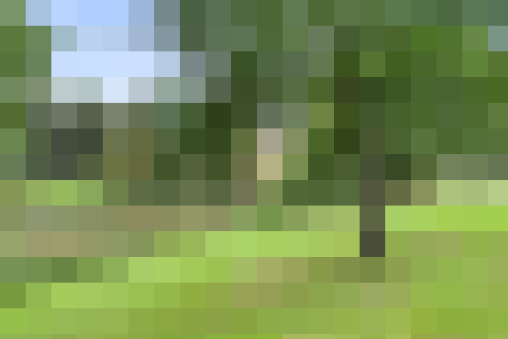 Image 13