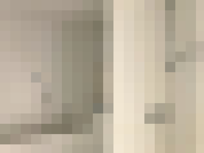 Image 13
