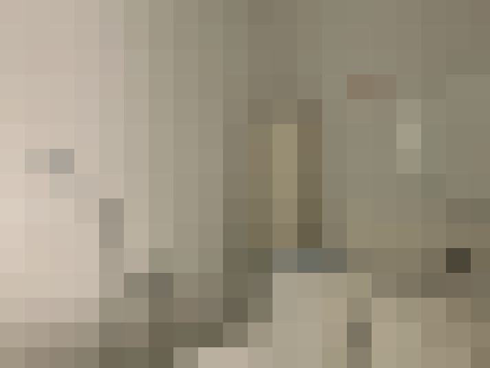 Image 14
