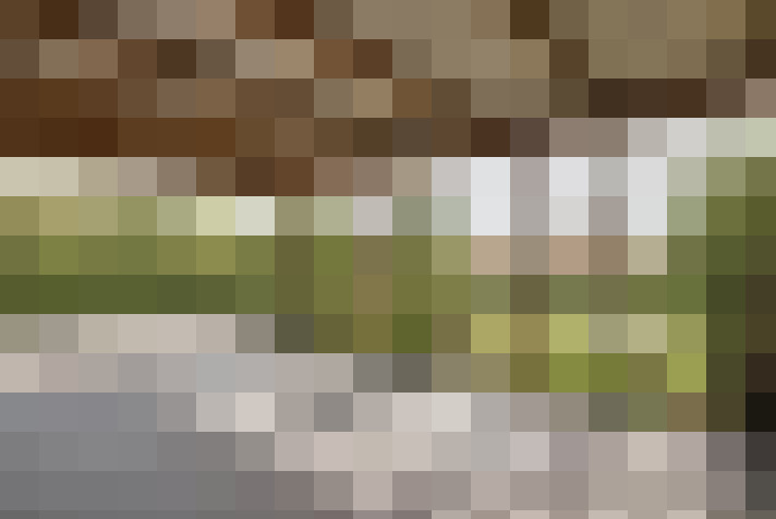 Image 14
