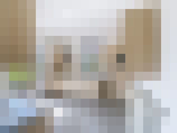  / #7