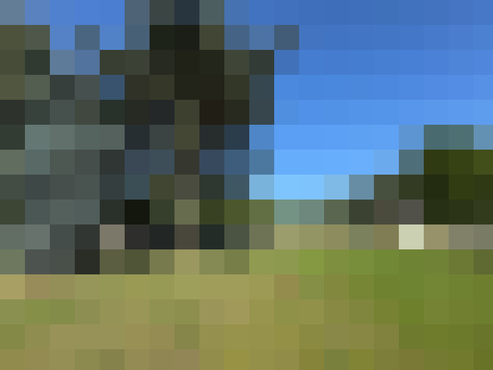 Image 15