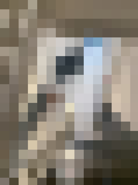 Image 16