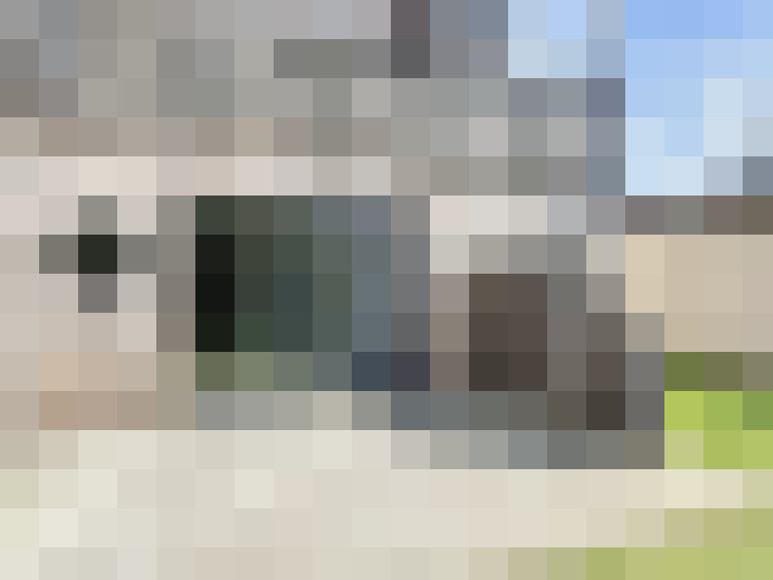 Image 15