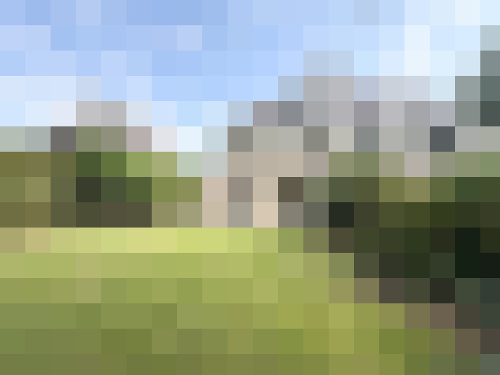 Image 35
