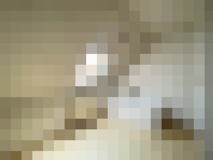 Image 13