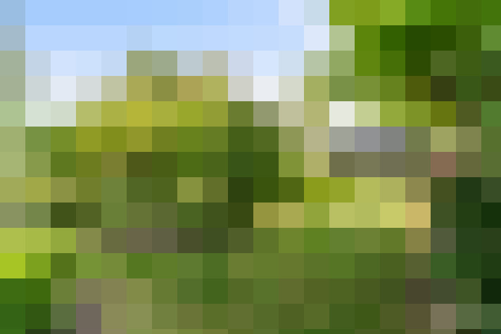 Image 26