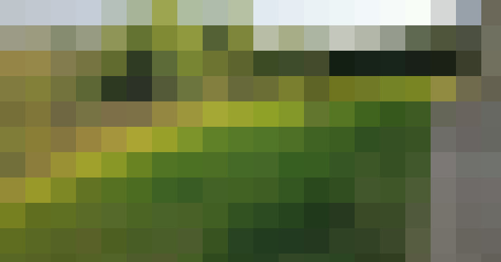 Image 17
