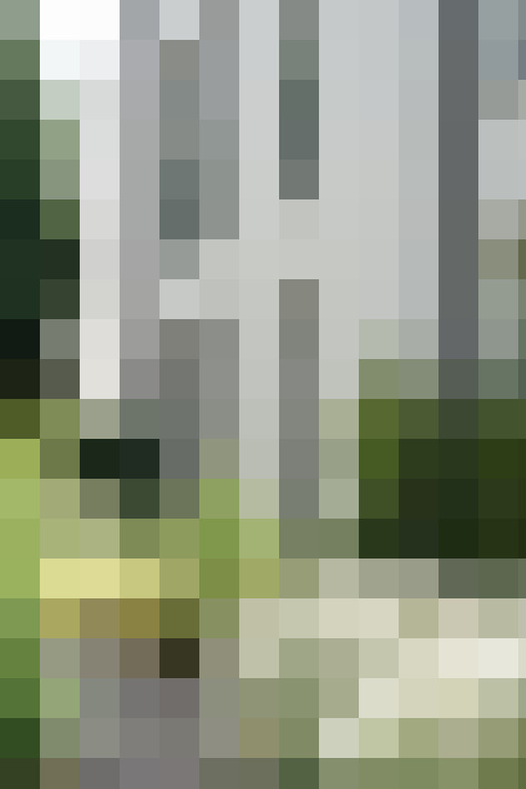 Image 44