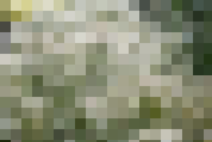 Image 43