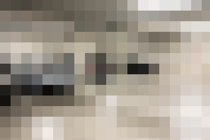 Image 61