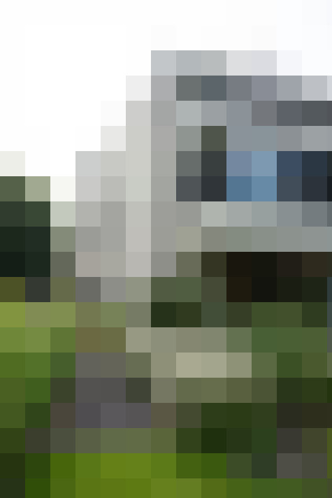 Image 53