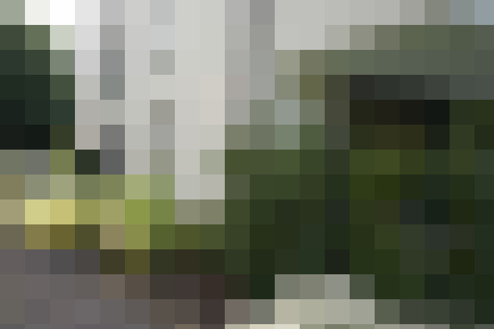 Image 54