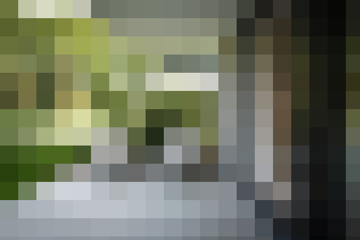 Image 46