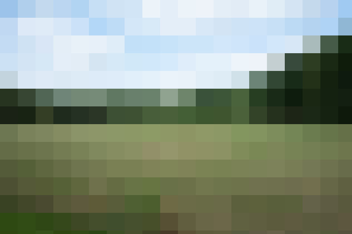 Image 51