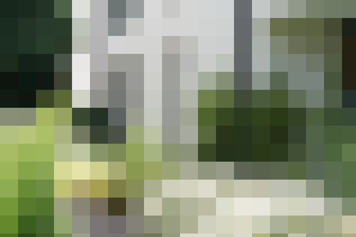 Image 42