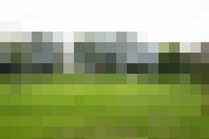 Image 50