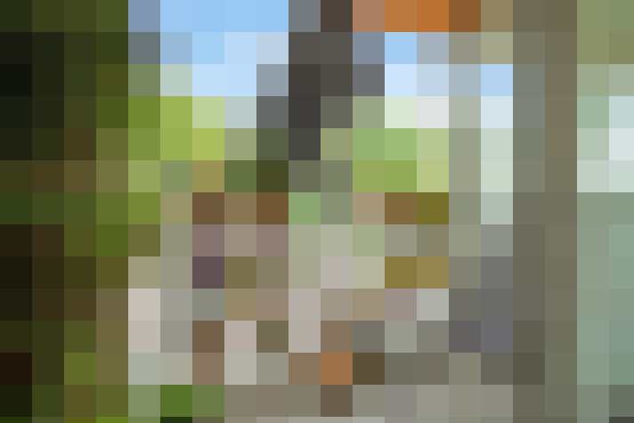 Image 15