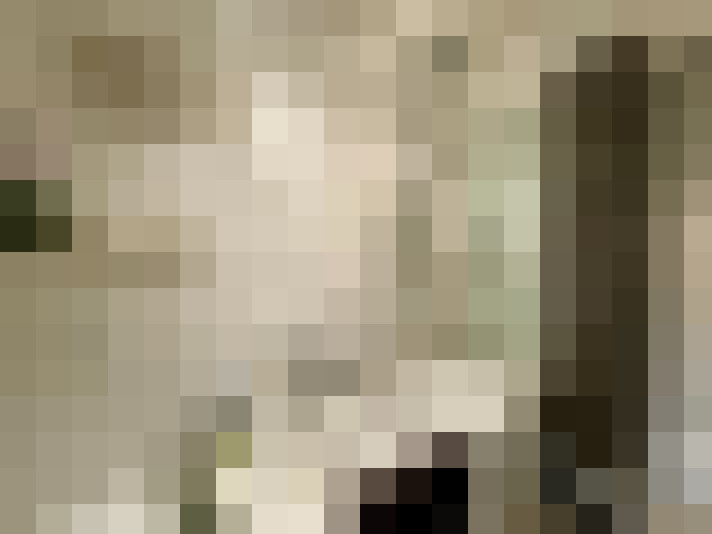 Image 16