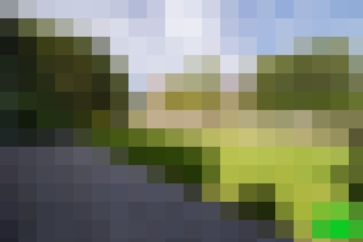Image 33