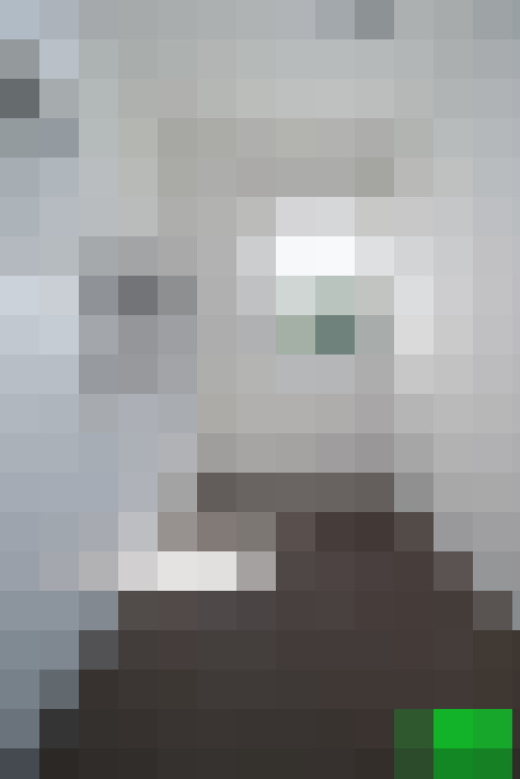 Image 28