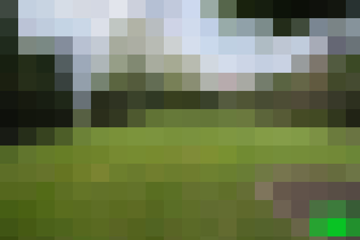 Image 25