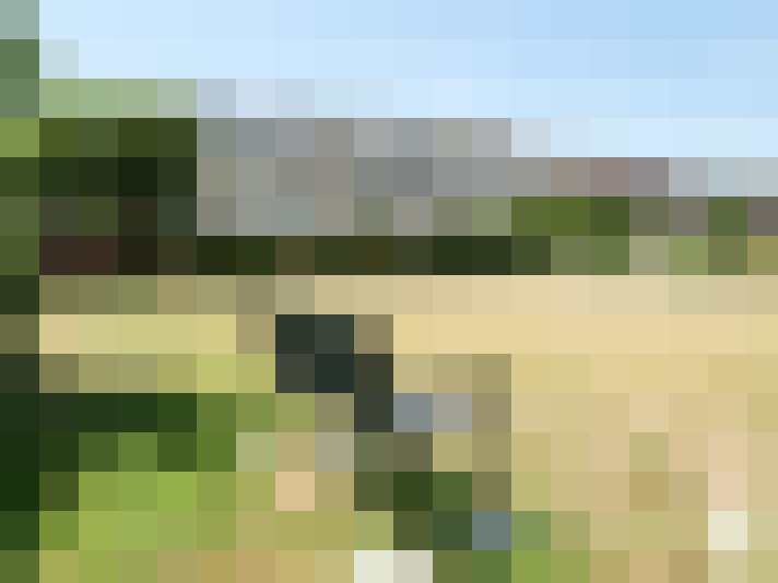 Image 16