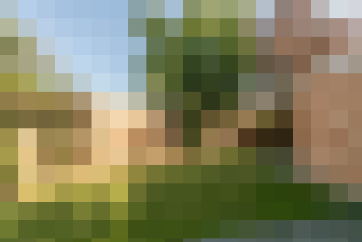Image 28