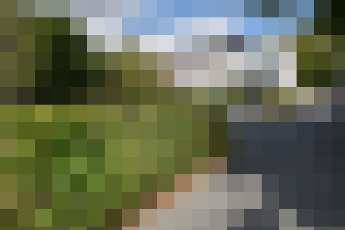 Image 25