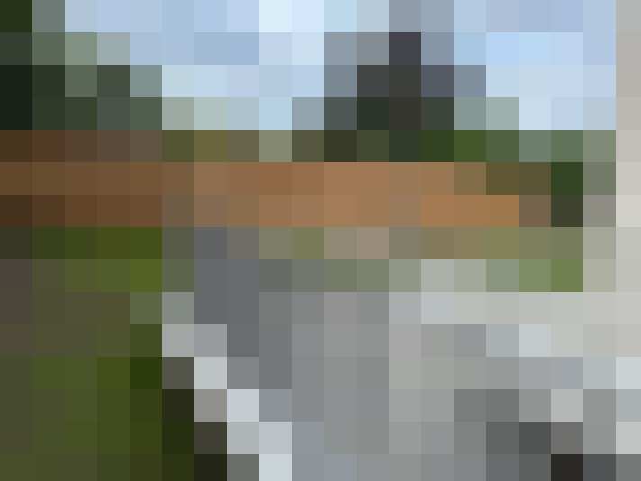 Image 16
