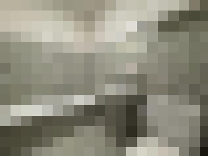 Image 13