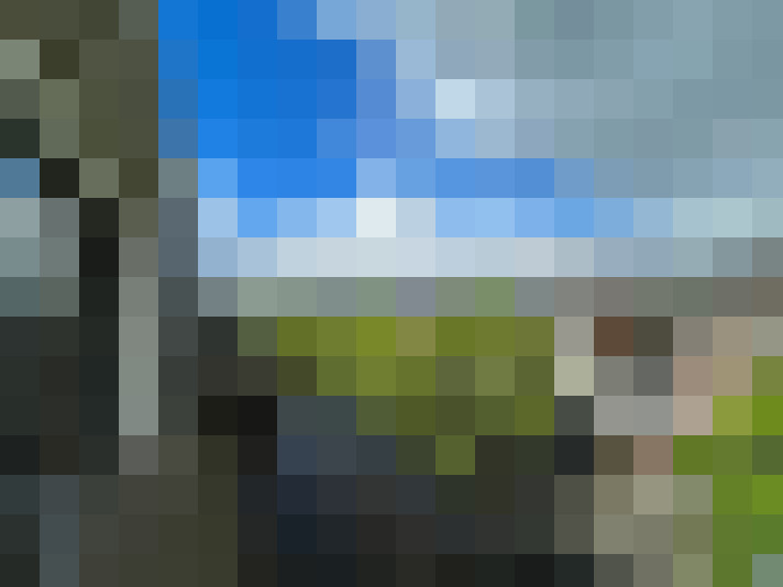 Image 17