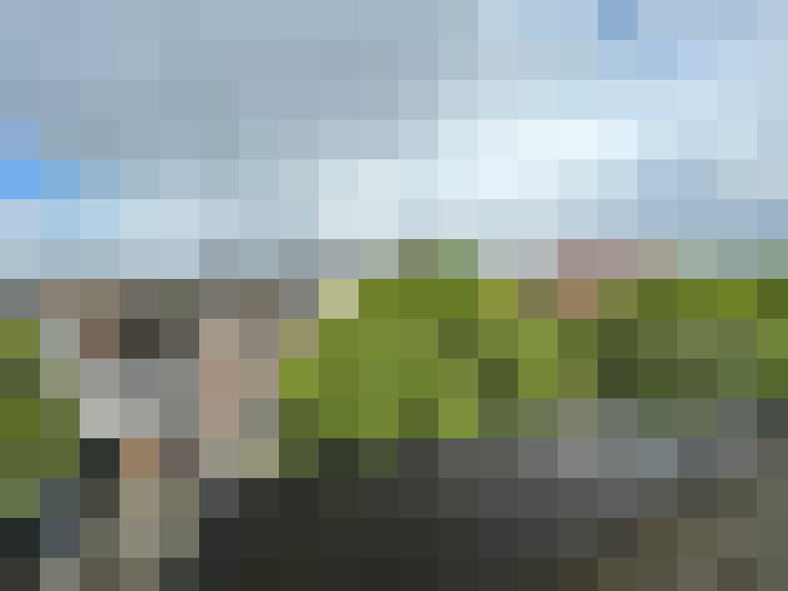Image 16