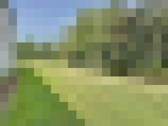 Image 18
