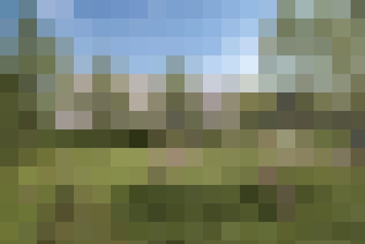 Image 13