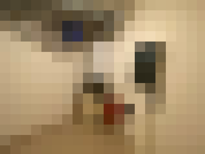 Image 22
