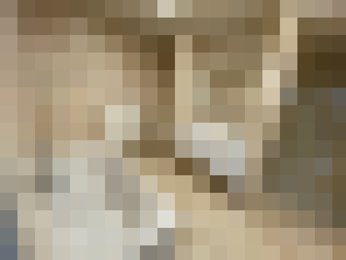 Image 13