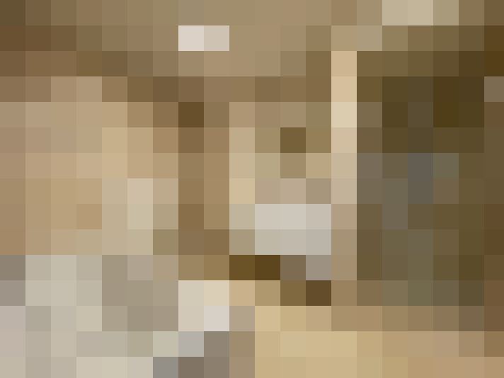 Image 16