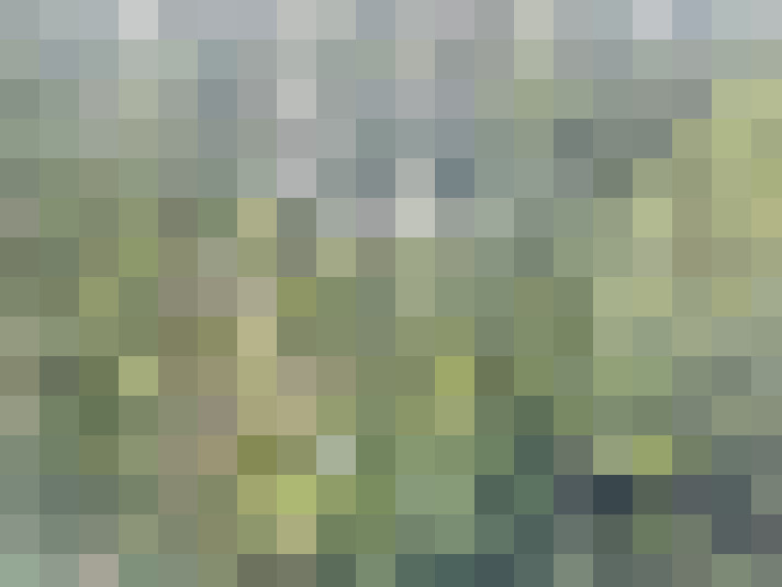 Image 18