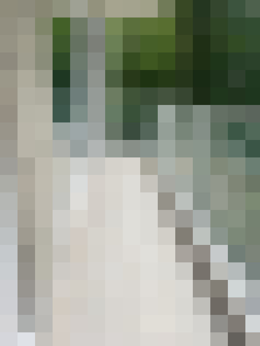 Image 16