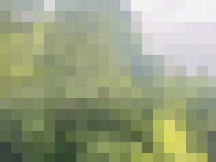 Image 17