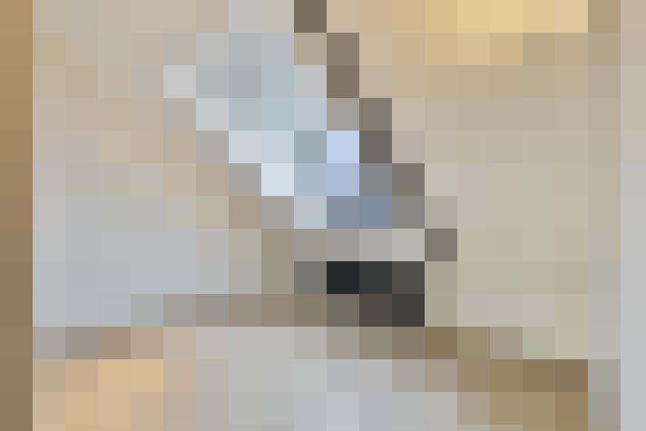 Image 25