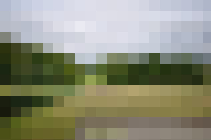 Image 18